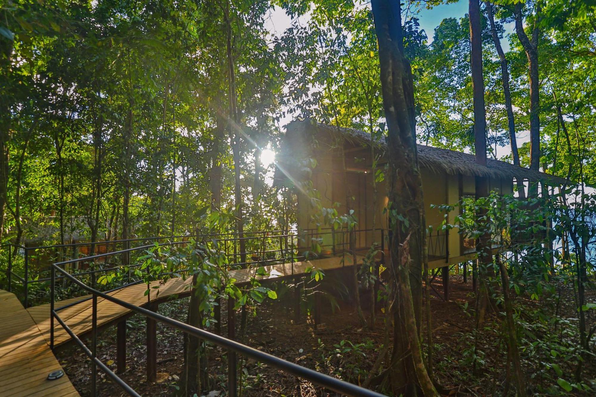 Corcovado Wilderness Lodge By Scp San Pedrillo Exterior photo