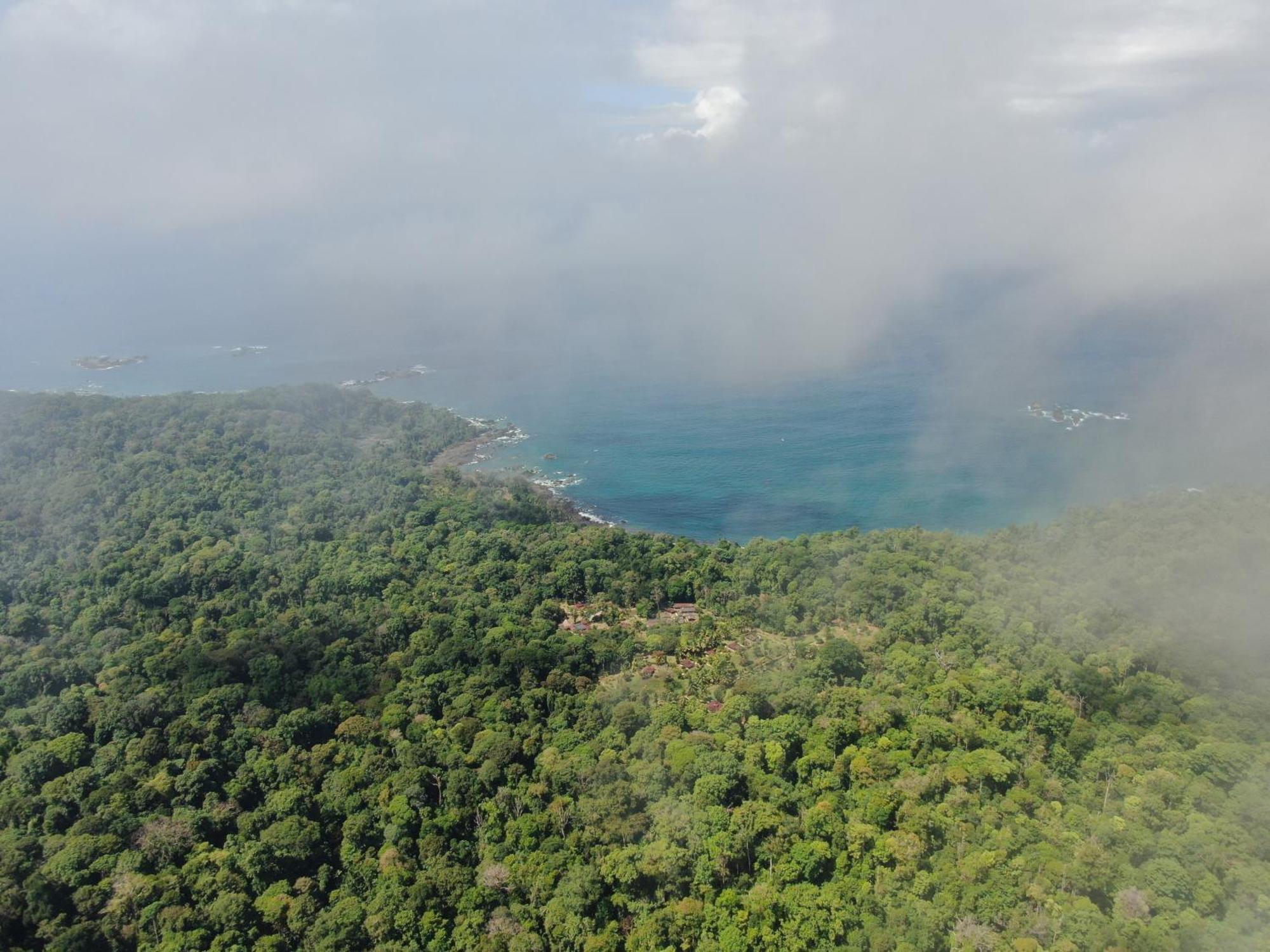 Corcovado Wilderness Lodge By Scp San Pedrillo Exterior photo