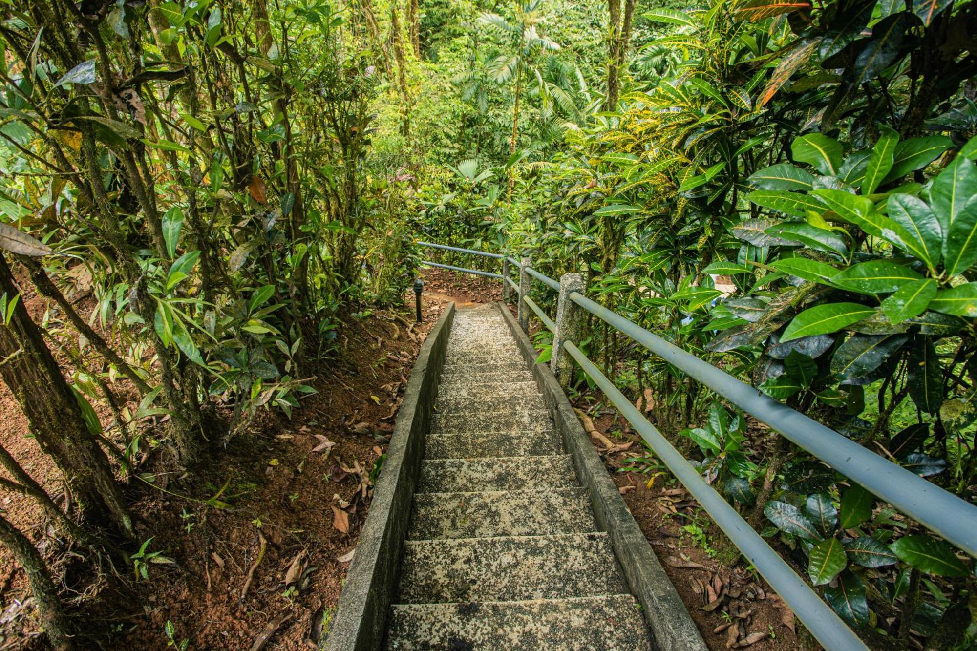 Corcovado Wilderness Lodge By Scp San Pedrillo Exterior photo